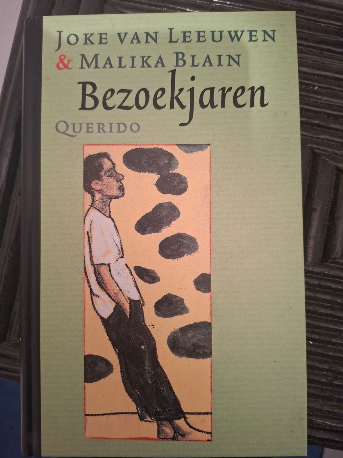 Bezoekjaren - Joke van Leeuwen & Malika Blain (Querido), Ophalen of Verzenden, Gelezen, Joke van Leeuwen & Malika Blain, Nederland