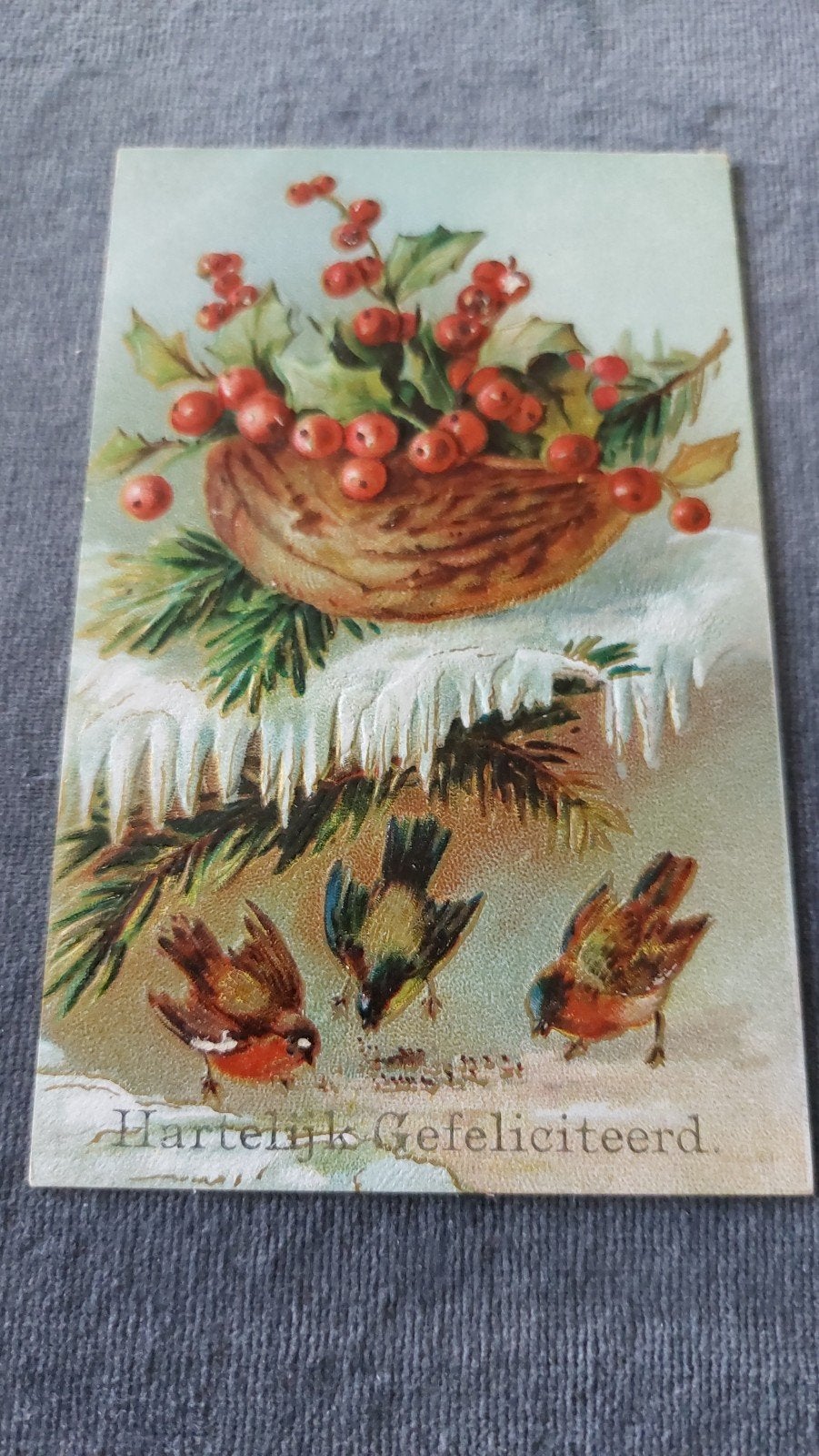 Reliëfkaart, hulst met bessen besneeuwde tak, vogels, Verzenden, Gelopen, Overige thema's