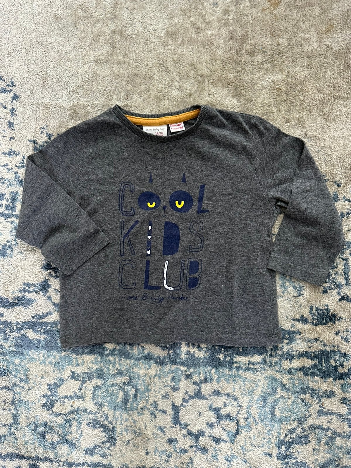 Mooie grijze longsleeve met print Zara maat 86, Ophalen of Verzenden, Zo goed als nieuw, Jongetje, Shirtje of Longsleeve
