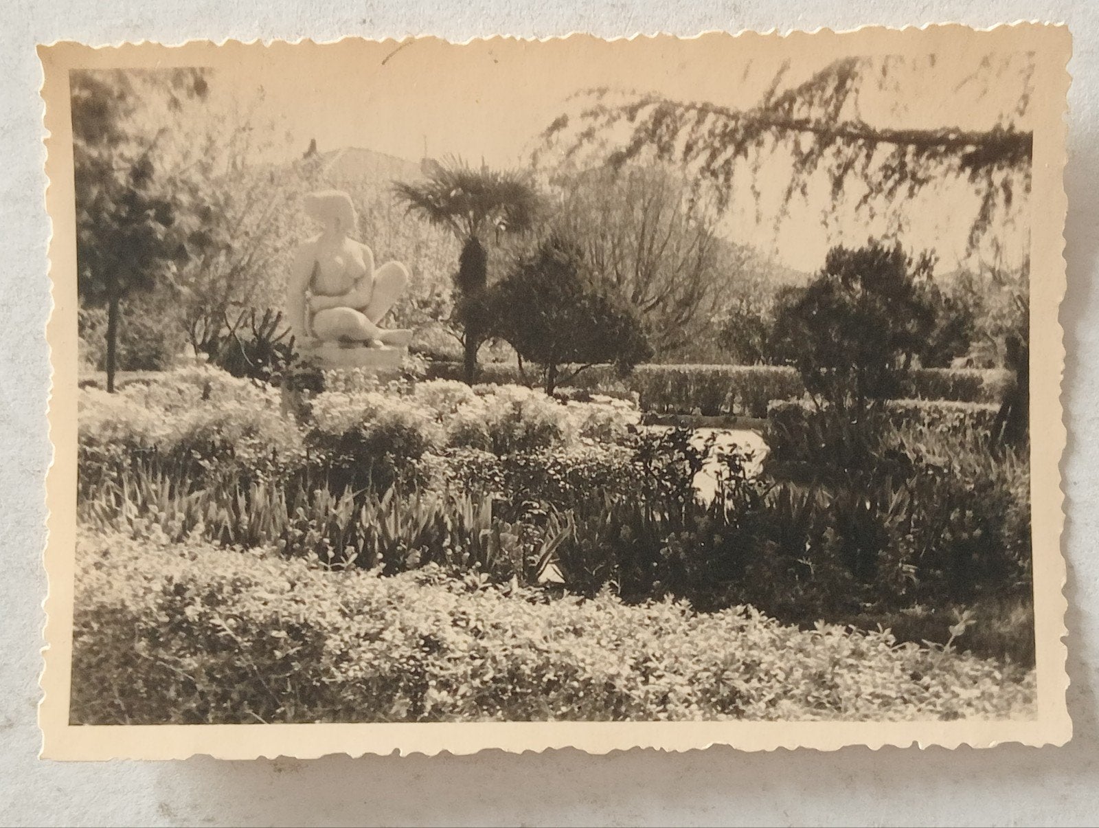 . Villefranche Frankrijk Park Tuin jaren 50, Ophalen of Verzenden, 1940 tot 1960, Gebruikt, Overige onderwerpen