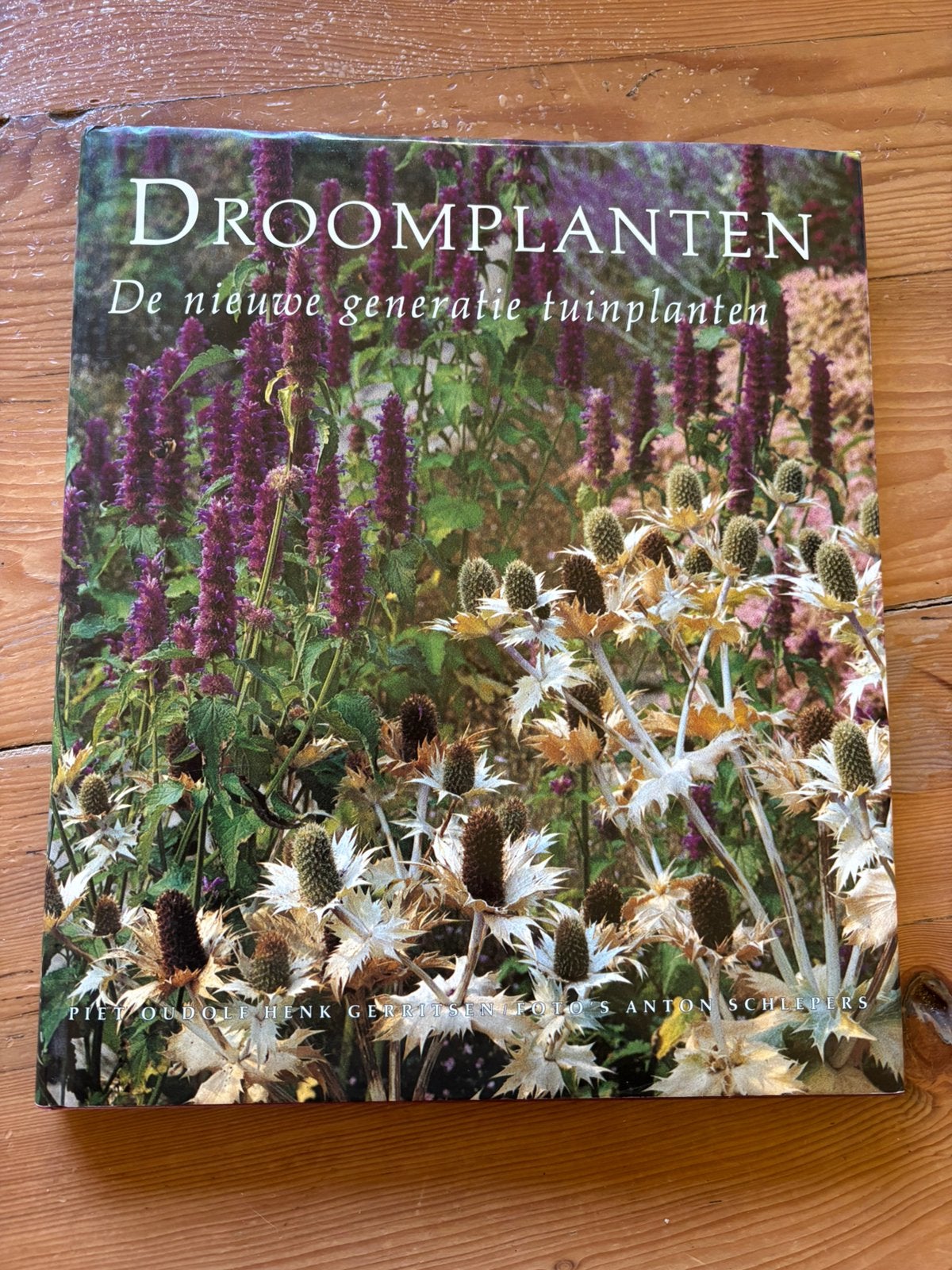Droomplanten - Piet Oudolf, Boeken, Wonen en Tuinieren, Ophalen of Verzenden, Gelezen