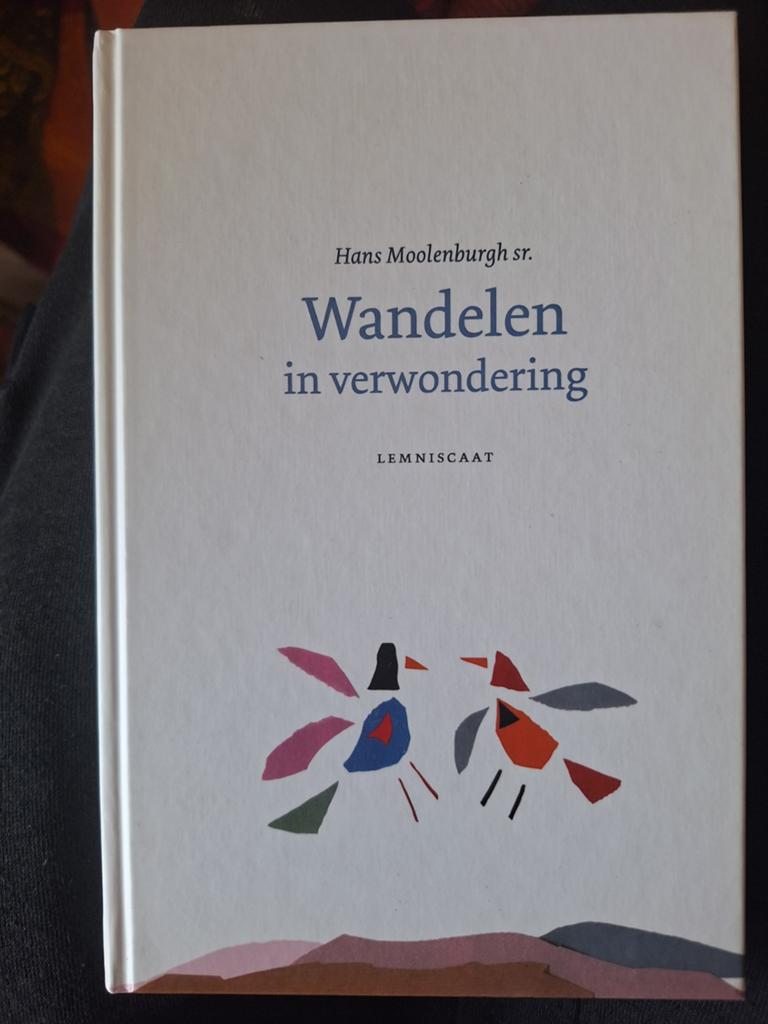 Wandelen in verwondering 

Moolenburgh  NIEUW!, Boeken, Ophalen of Verzenden, Nieuw, Spiritualiteit algemeen, Overige typen