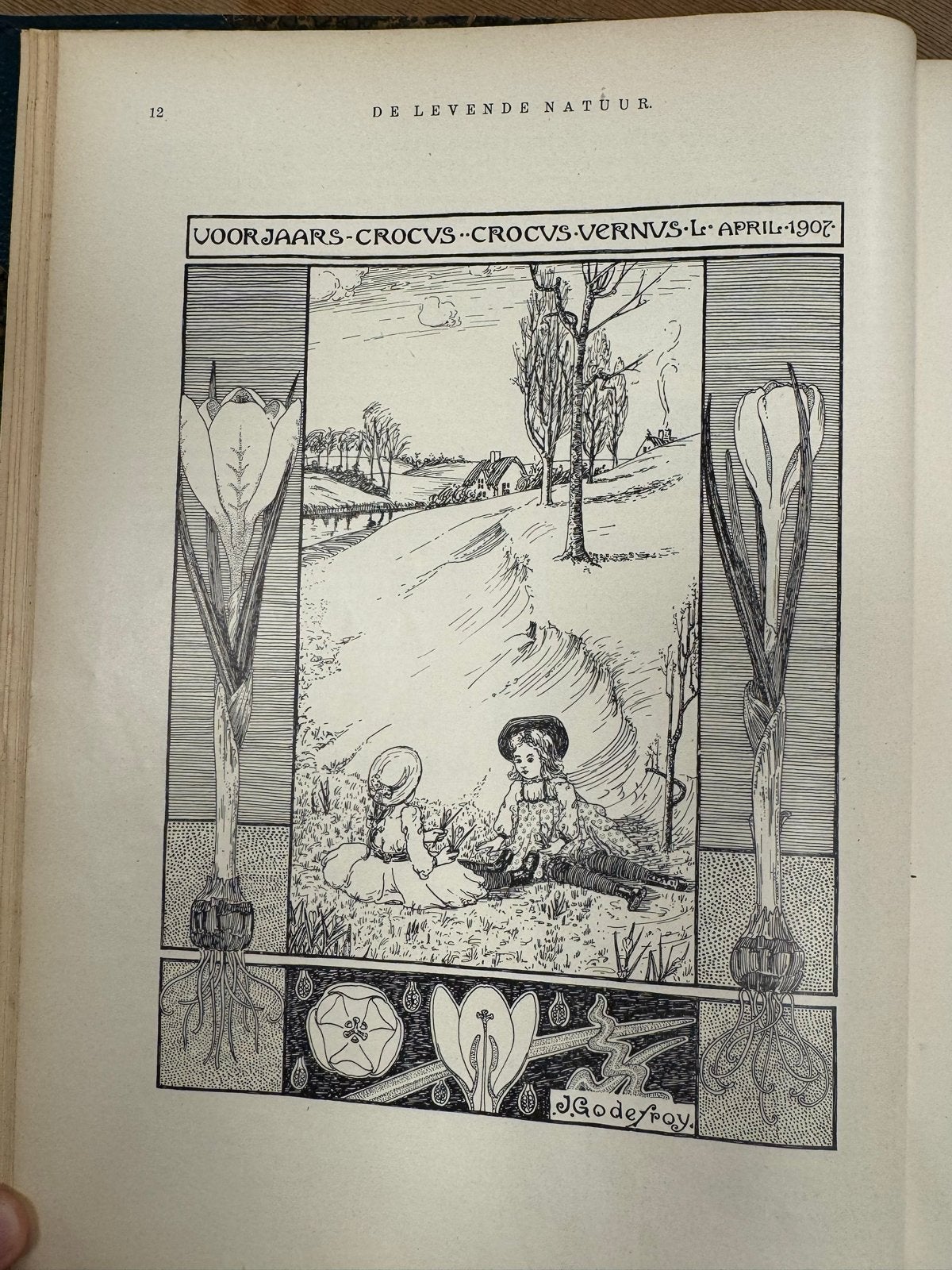 De Levende Natuur - Jaargang 1908, Ophalen of Verzenden, Gelezen, Natuur algemeen