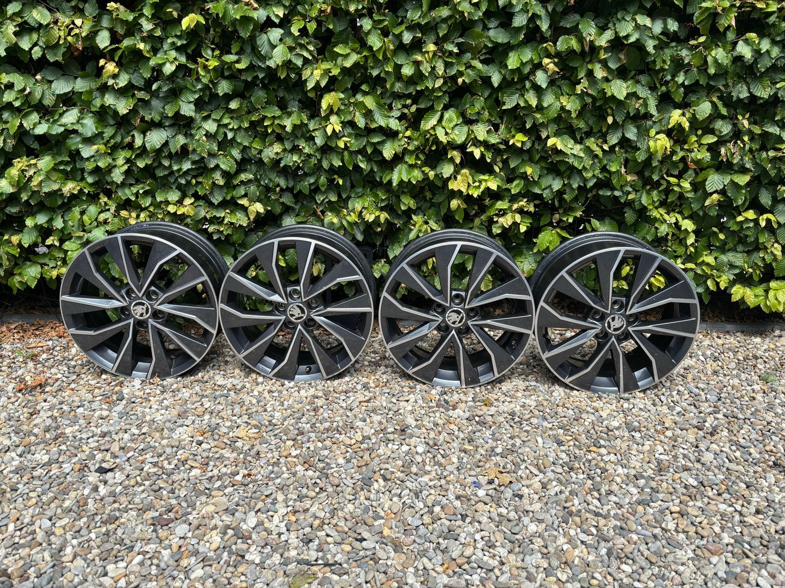 Set van 4 16 inch Skoda velgen, Ophalen, Gebruikt, Velg(en), 16 inch