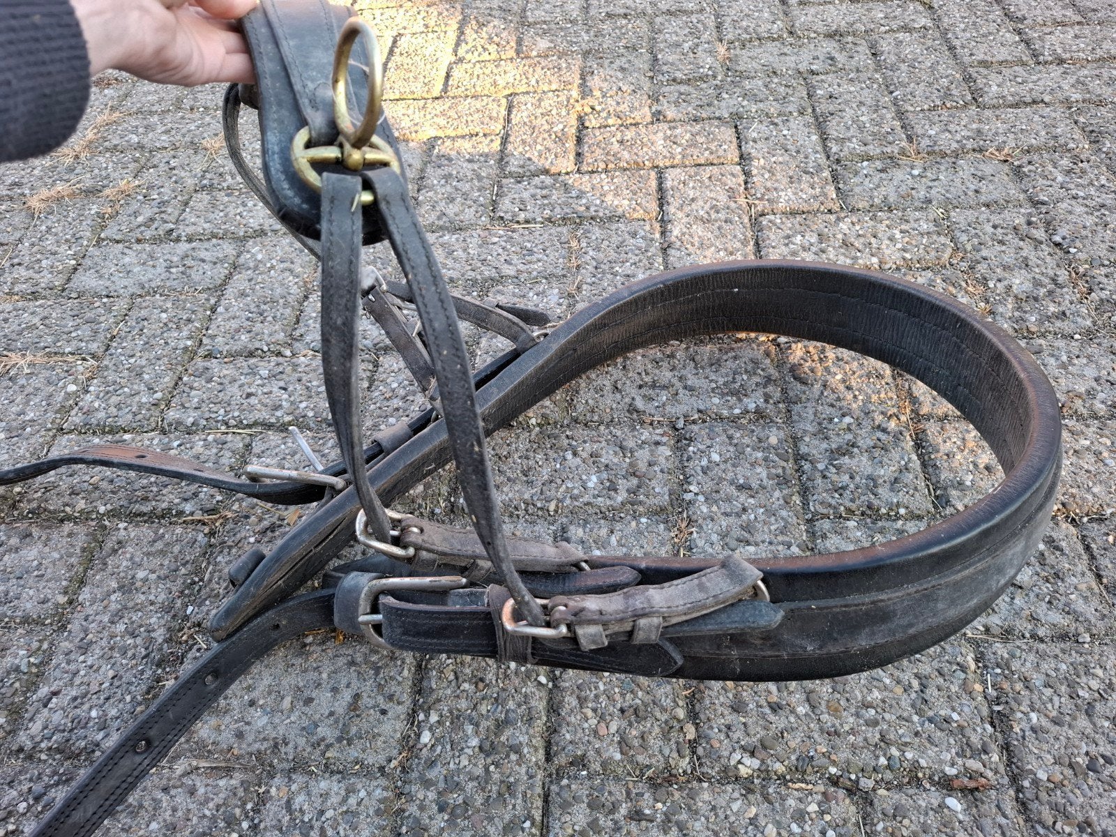 borsttuig met strengen voor beleren kar/slee, Ophalen of Verzenden, BR, Borsttuig, Cob