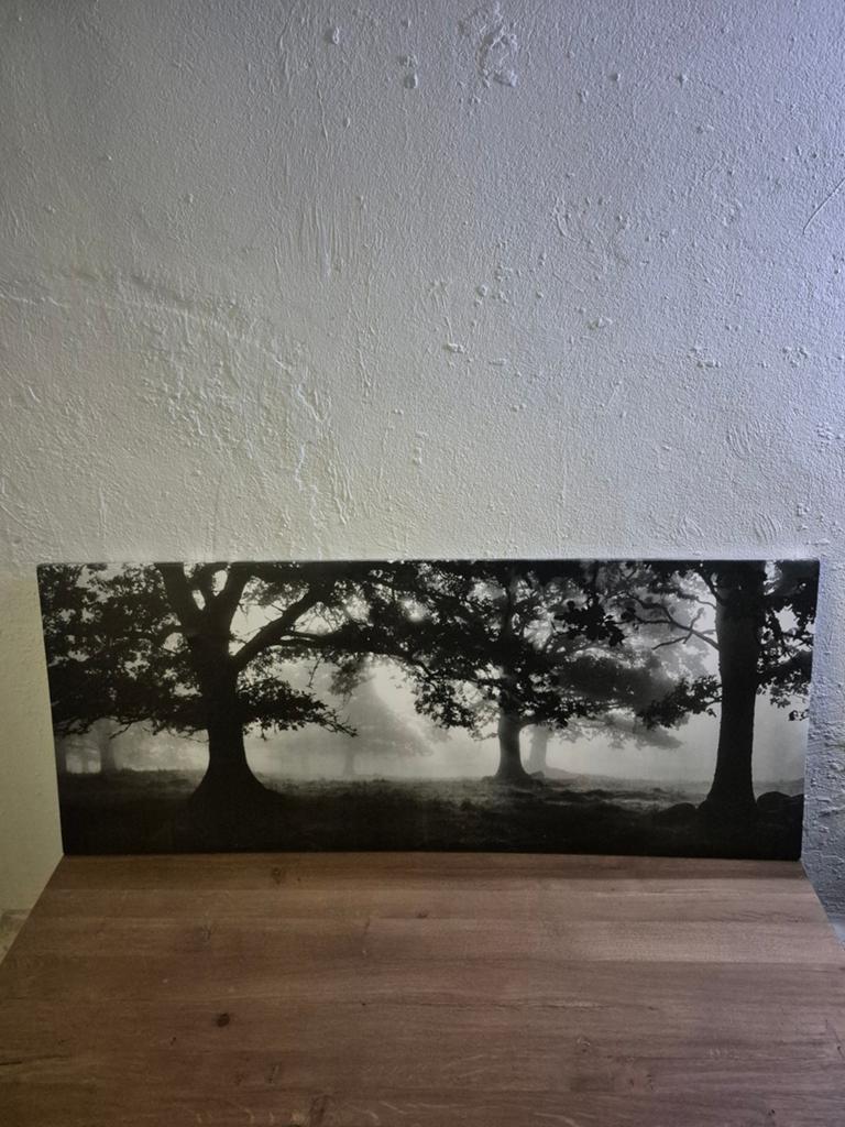 Ikea PJÄTTERYD schilderij, Huis en Inrichting, Ophalen, 50 tot 75 cm, 125 cm of meer, Zo goed als nieuw