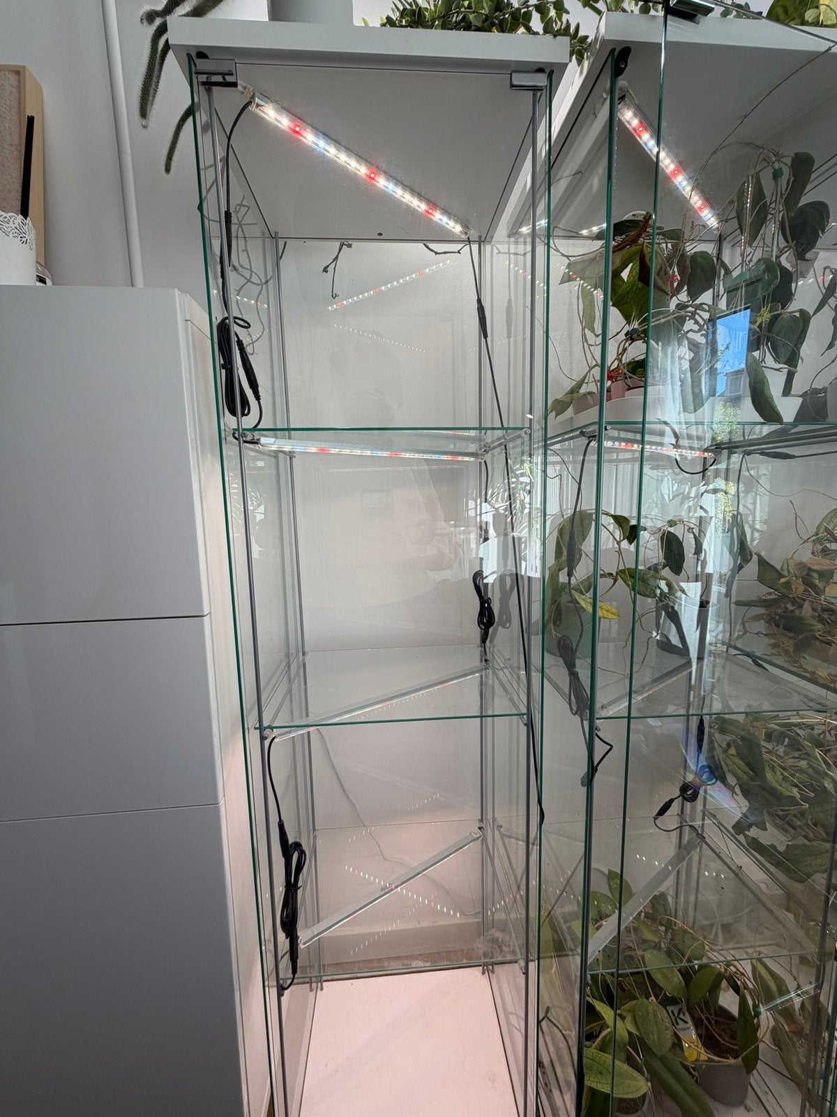 Ikea Detolf vitrinekast - glass cabinet, Ophalen, Minder dan 50 cm, Gebruikt, Glas