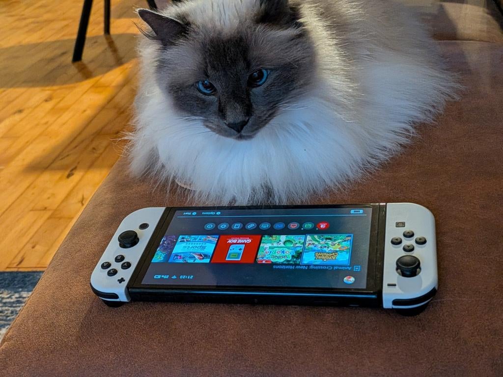 Nintendo Switch OLED zelden gebruikt, echt zo goed als nieuw, Ophalen of Verzenden, Zo goed als nieuw, Met 1 controller, Switch OLED