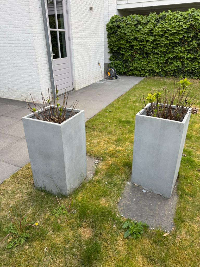 Hortensia's in hoge vierkante potten, Tuin en Terras, Bloembakken en Plantenbakken, Ophalen, Gebruikt, Balkon, Vierkant