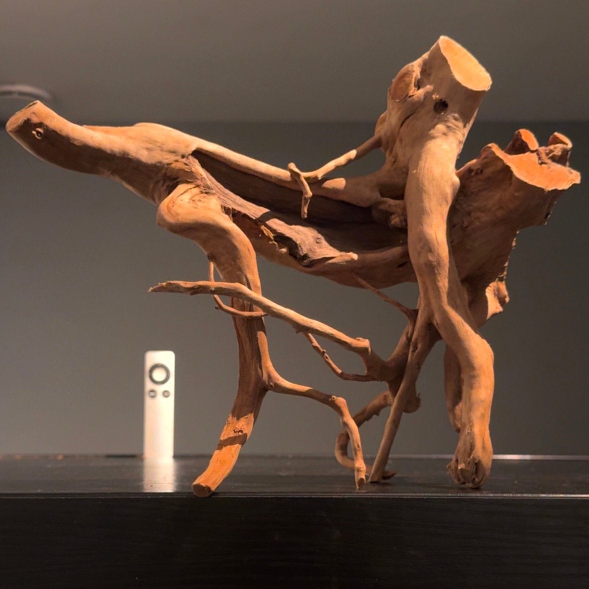 Uniek stuk Spiderwood / Driftwood / Kienhout, Hout Decoratie, Ophalen of Verzenden, Plant(en), Steen of Hout