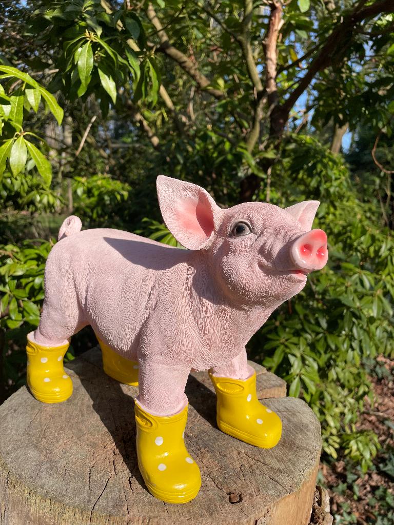 Varken laarsjes staand, Geel, boerderij, tuin, 35cm, Tuin en Terras, Tuinbeelden, Ophalen of Verzenden, Nieuw, Kunststof, Dierenbeeld