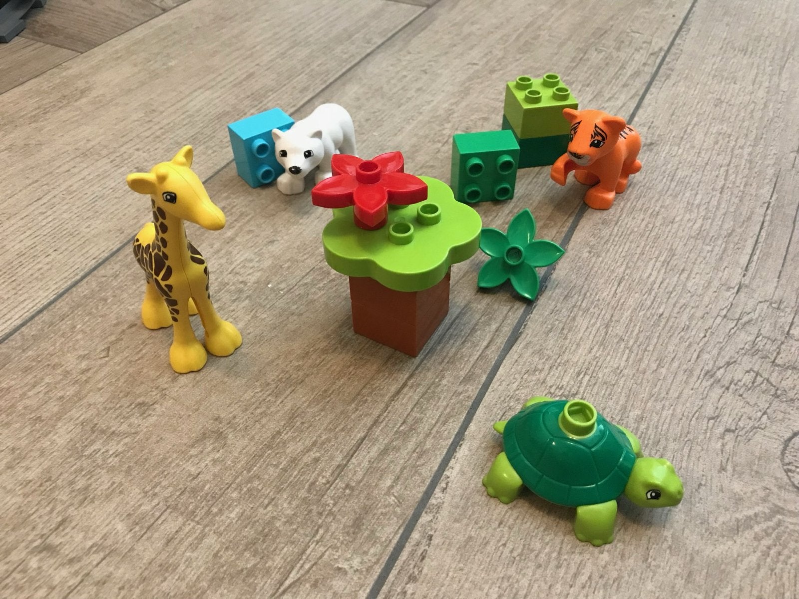 Lego Duplo 10801 jonge dieren - Compleet, Ophalen of Verzenden, Gebruikt, Complete set, Duplo