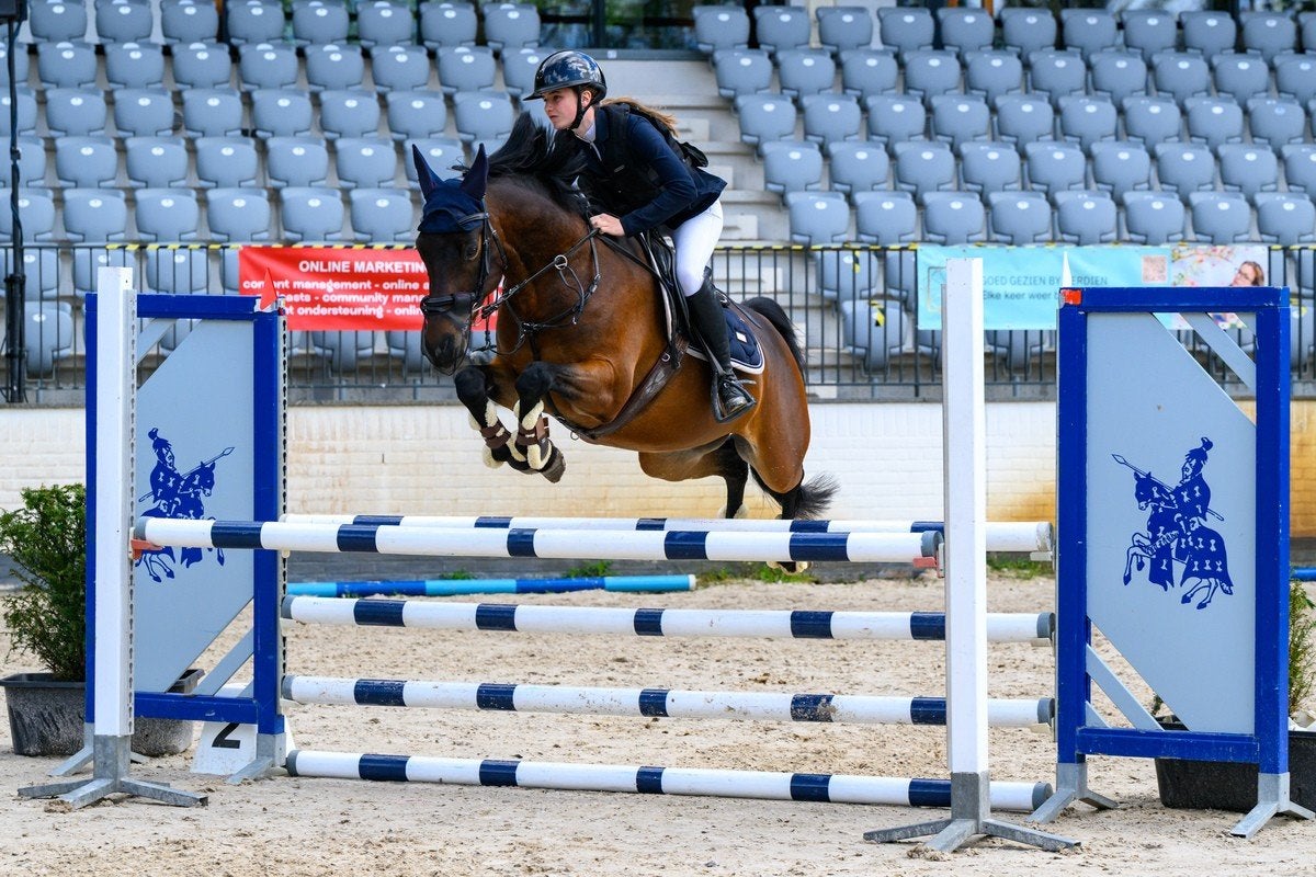 Allround E sportpony, Dieren en Toebehoren, Ruin, E pony (1.48m - 1.57m), Met stamboom, 3 tot 6 jaar
