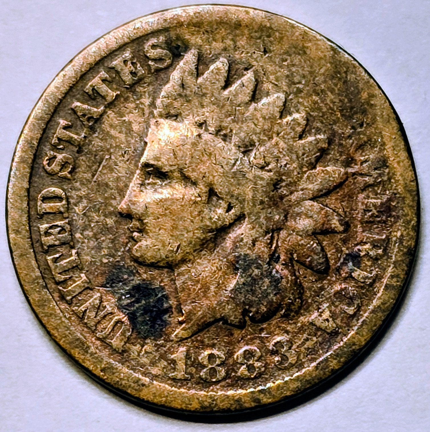 USA 1883 Indian Head Cent - Zeldzame Amerikaanse Munt, Postzegels en Munten, Ophalen of Verzenden, Noord-Amerika, Losse munt