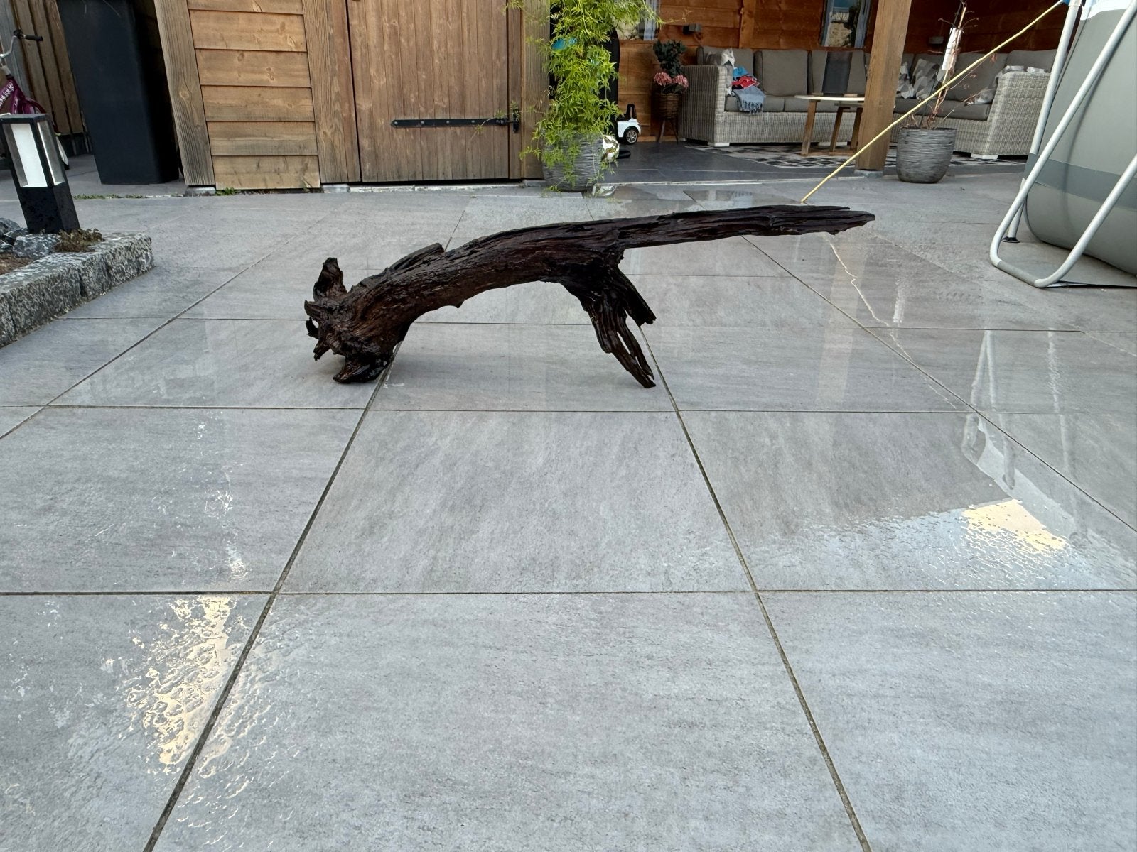 Mooi groot stuk aquarium hout, Dieren en Toebehoren, Ophalen, Zo goed als nieuw, Plant(en), Steen of Hout