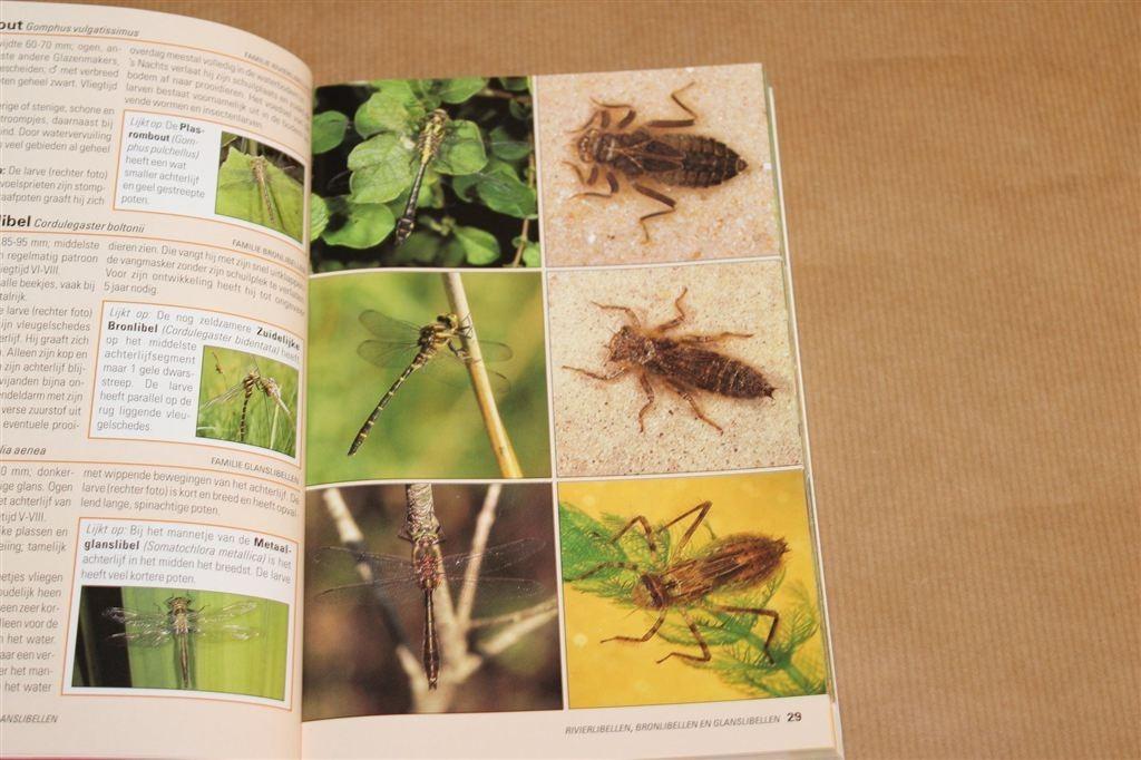 Insecten Herkennen en Benoemen — Handige Natuurgids, Boeken, Ophalen of Verzenden, Gelezen