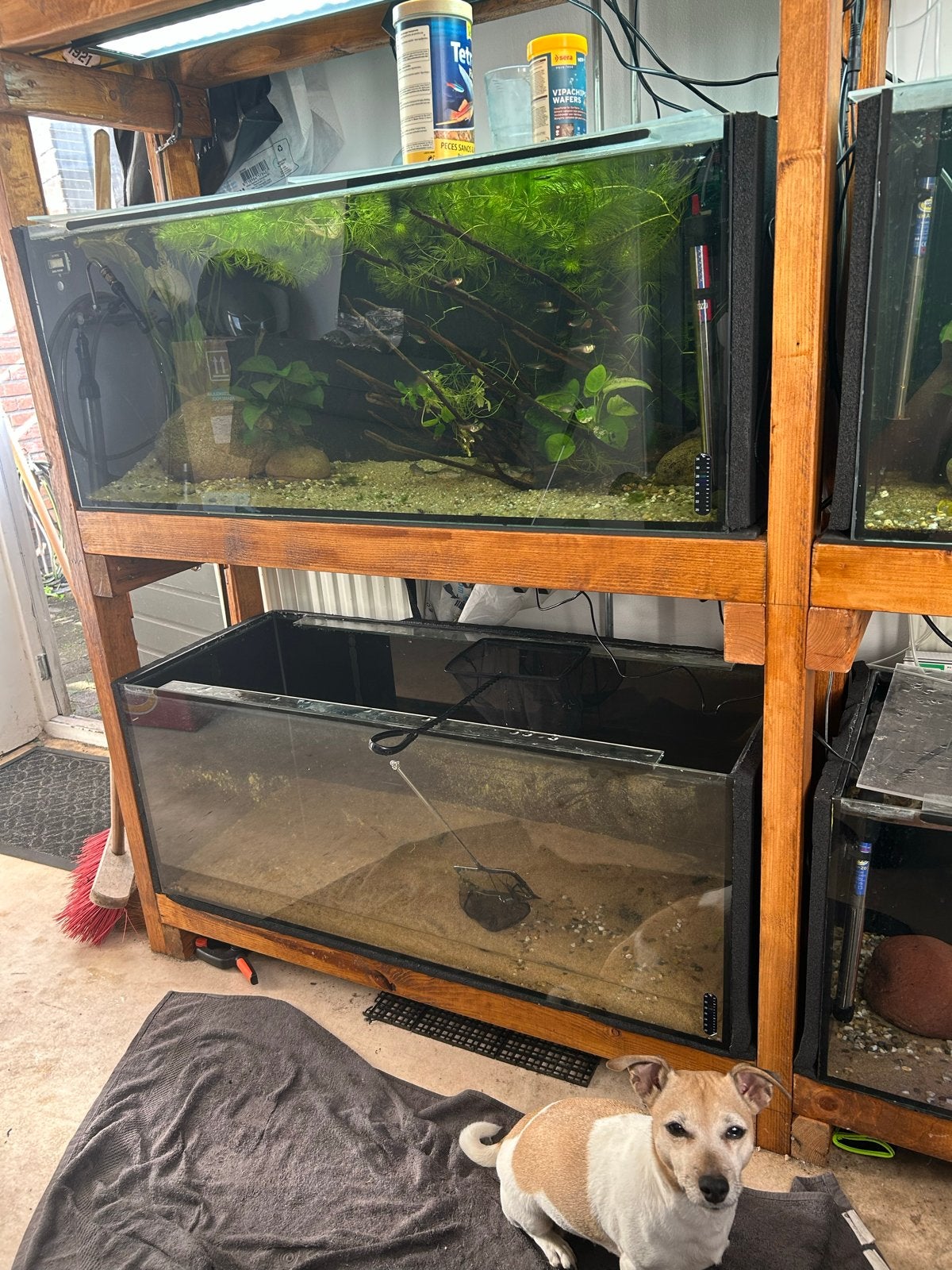 3x aquarium 100x40x40, Ophalen, Leeg aquarium