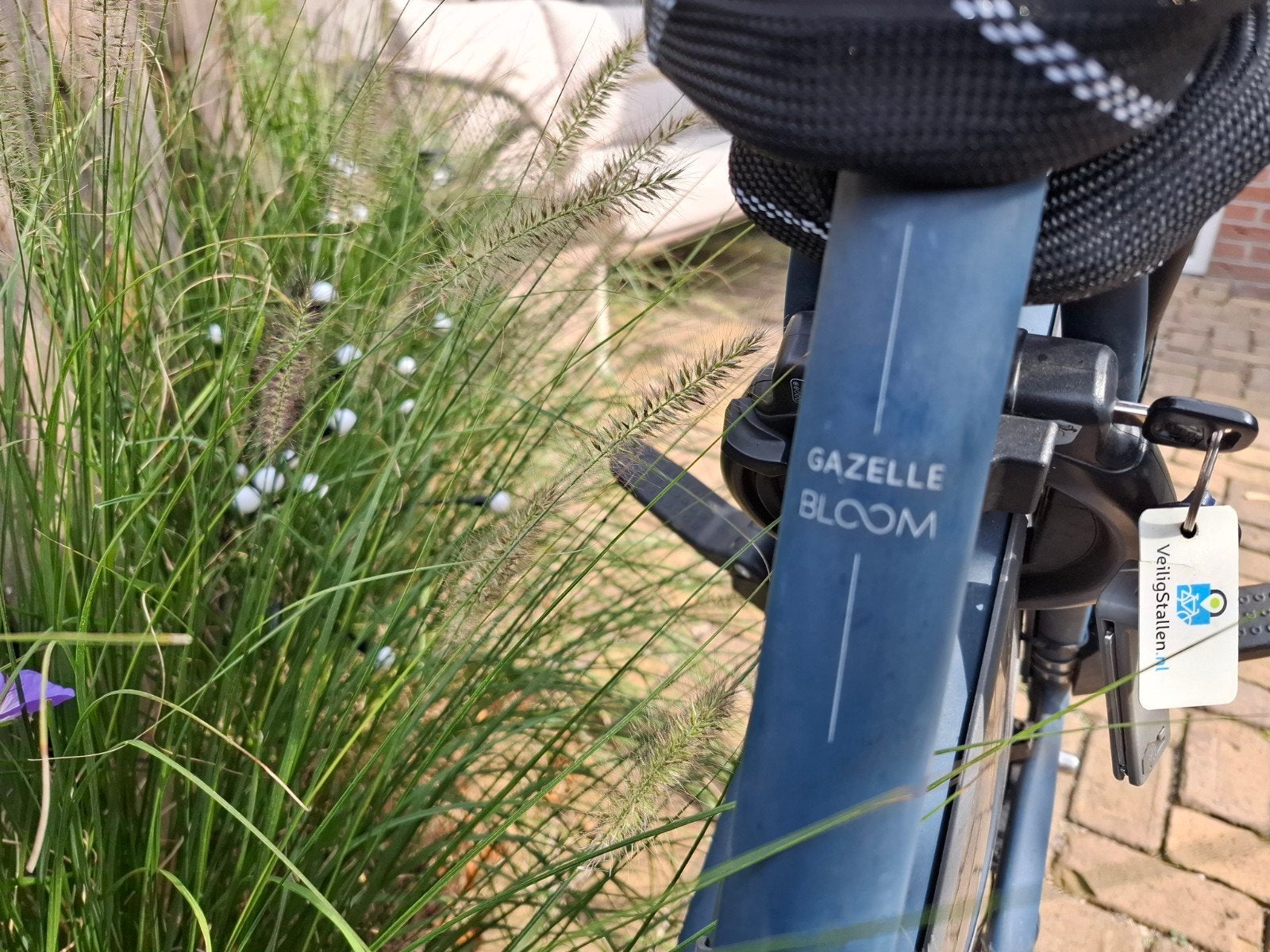Foto 10 van Gazelle Bloom elektrische fiets met Shimano motor