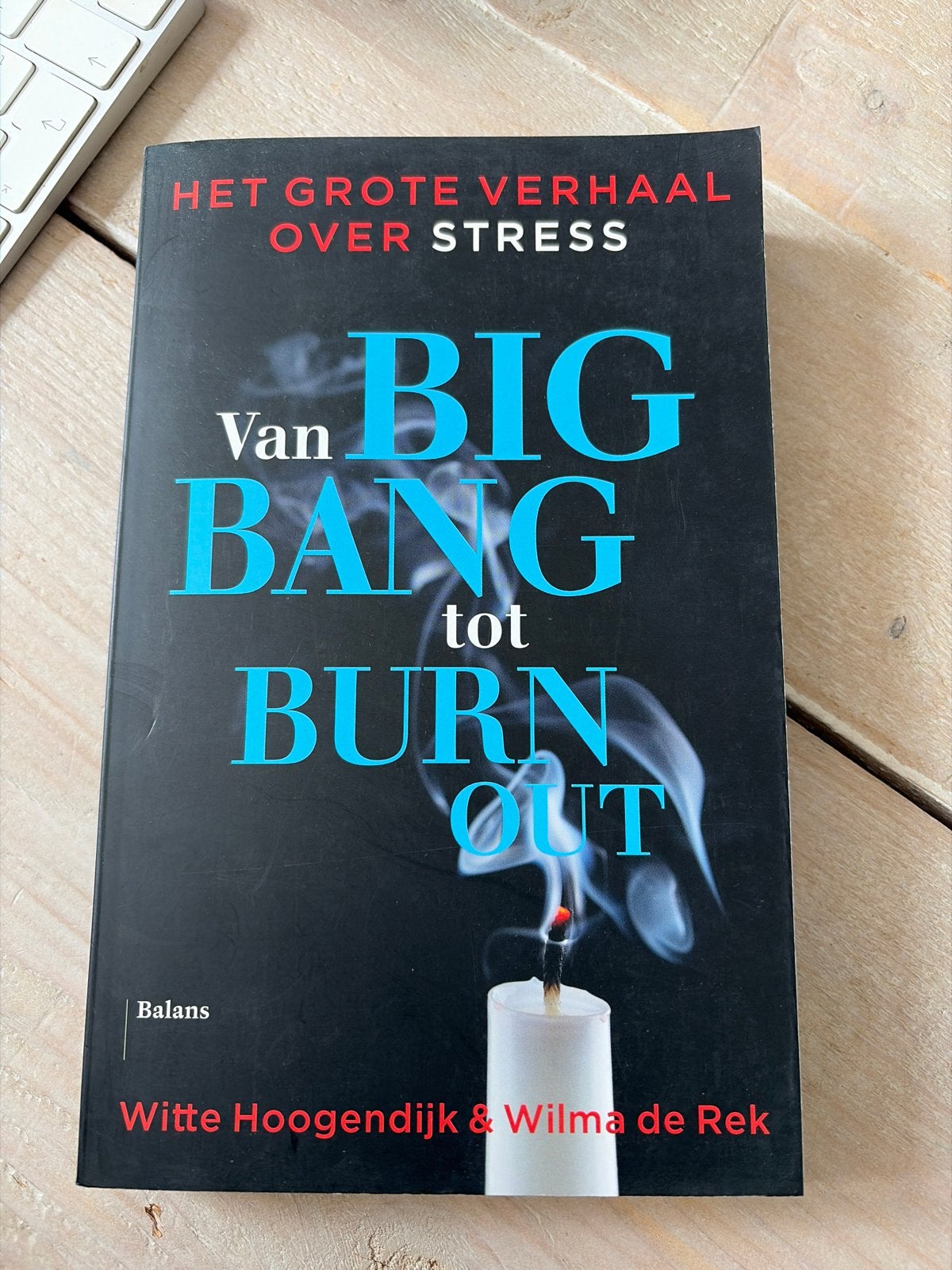 Van Big Bang tot Burn Out - Witte Hoogendijk & Wilma de Rek, Ophalen of Verzenden, Zo goed als nieuw, Klinische psychologie