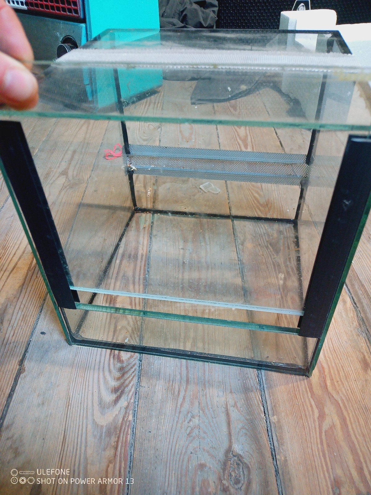 terrarium, Dieren en Toebehoren, Ophalen of Verzenden