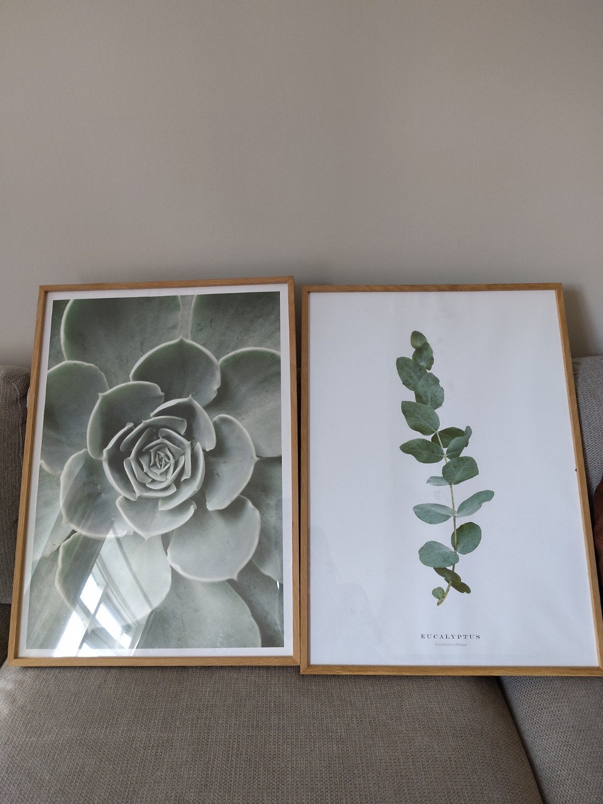 2 posters 50x70, zonder lijst, Ophalen, Gebruikt, 50 tot 75 cm, Foto of Poster