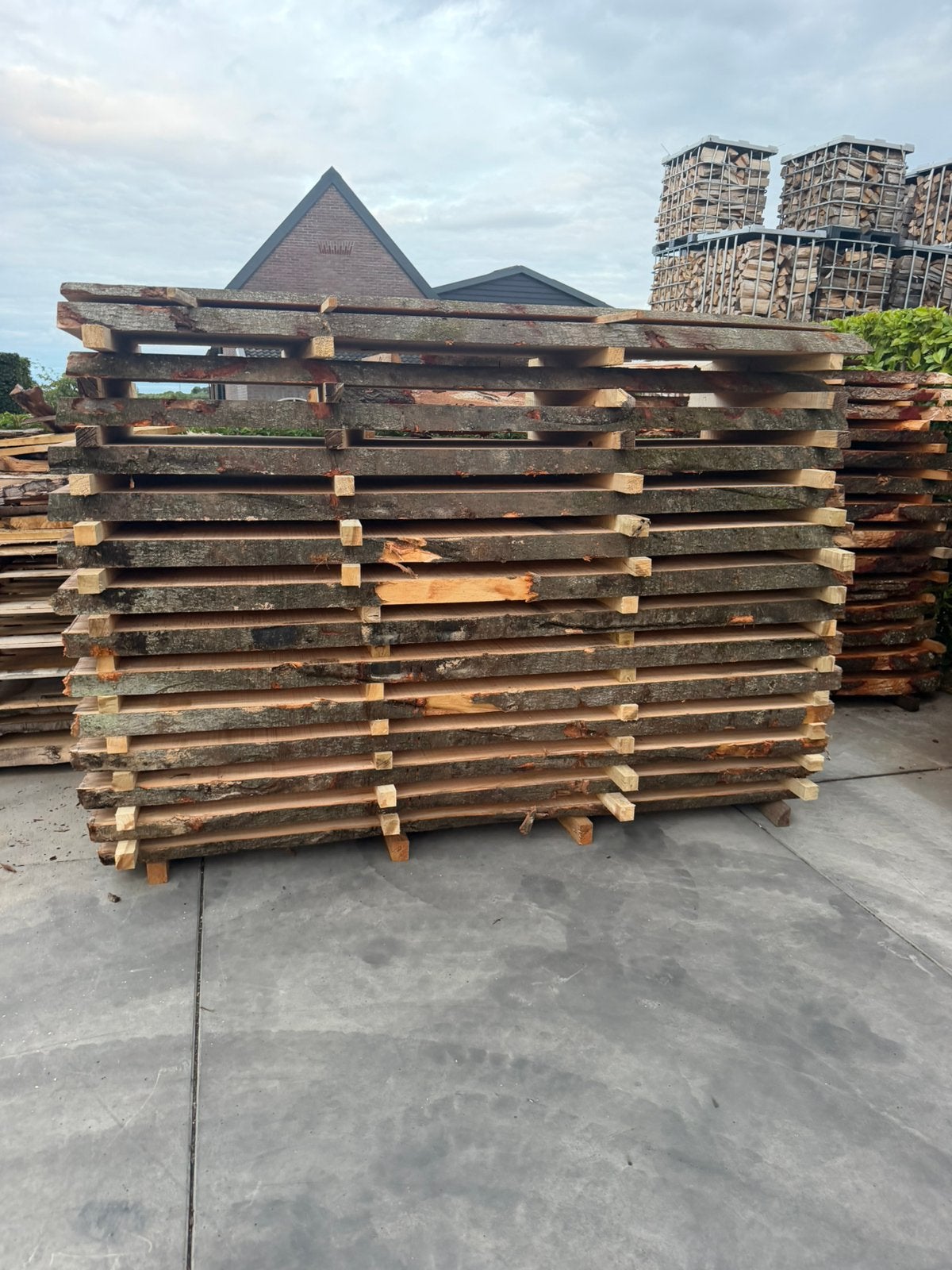 14  xxl boomstambladen 240x110x7 cm voor 3000 euro !!!