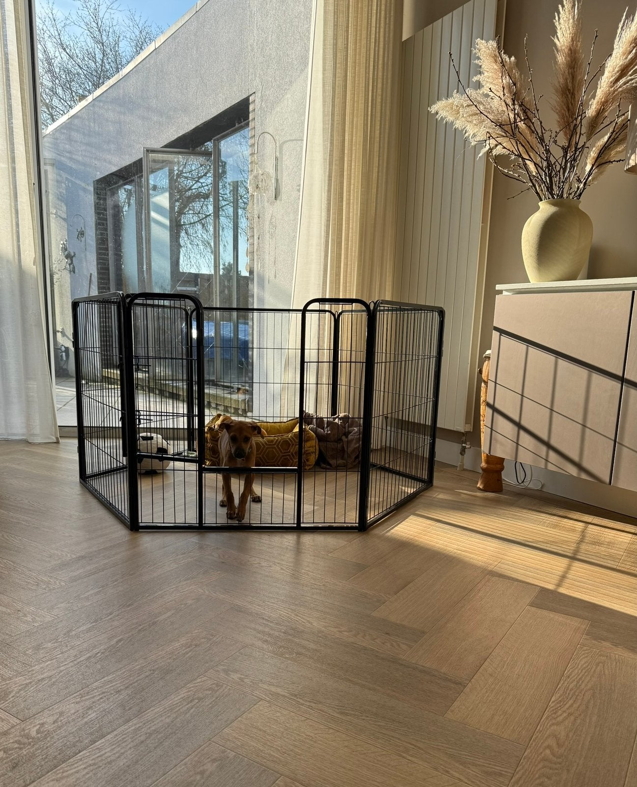 Pet play ren, Ophalen, Zo goed als nieuw