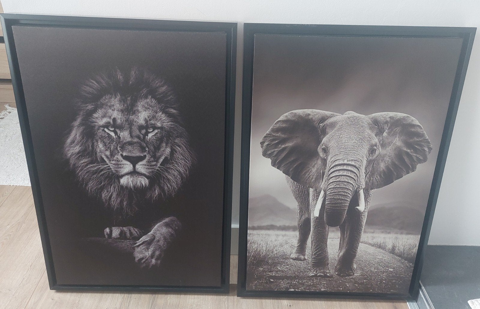 schilderijen set, leeuw en olifant, Ophalen, Gebruikt, 50 tot 75 cm, Schilderij
