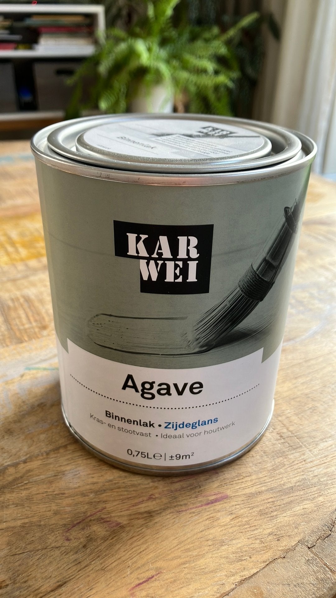 Karwei agave zijdeglans binnenlak, Ophalen, Nieuw