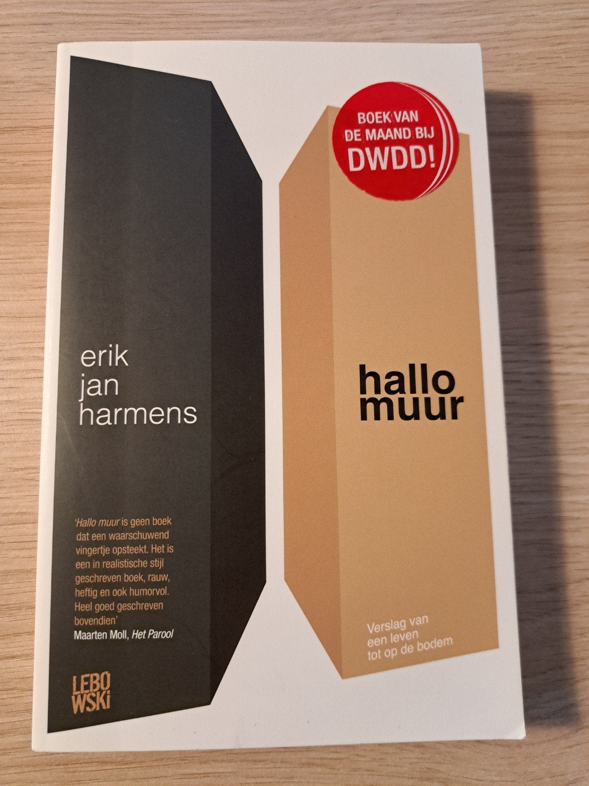 Hallo Muur - Erik Jan Harmens (Boek van de Maand DWDD!), Boeken, Ophalen of Verzenden, Zo goed als nieuw, Erik Jan Harmens, Nederland