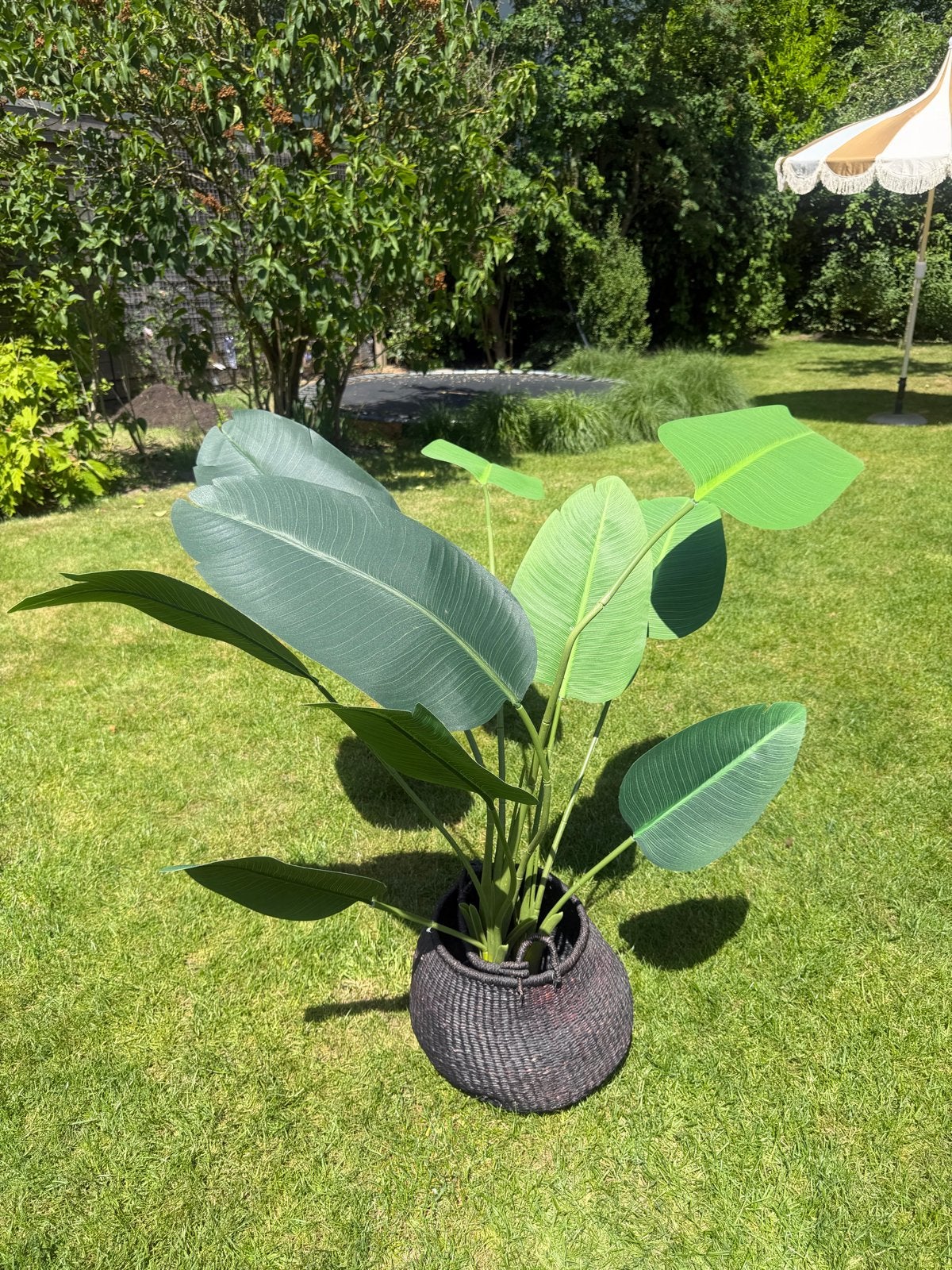 Grote kunstplant Strelitzia in rieten mand, Ophalen, Binnen, Groen, Kunstplant