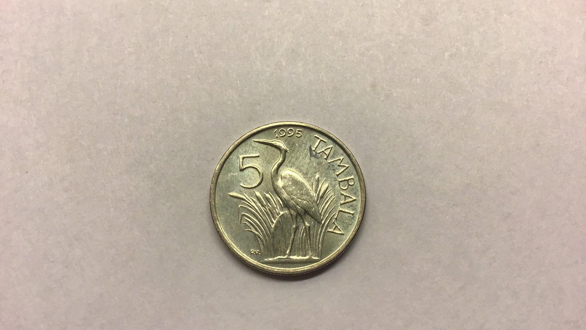 Malawi 5 tambala 1995., Ophalen of Verzenden, Overige landen