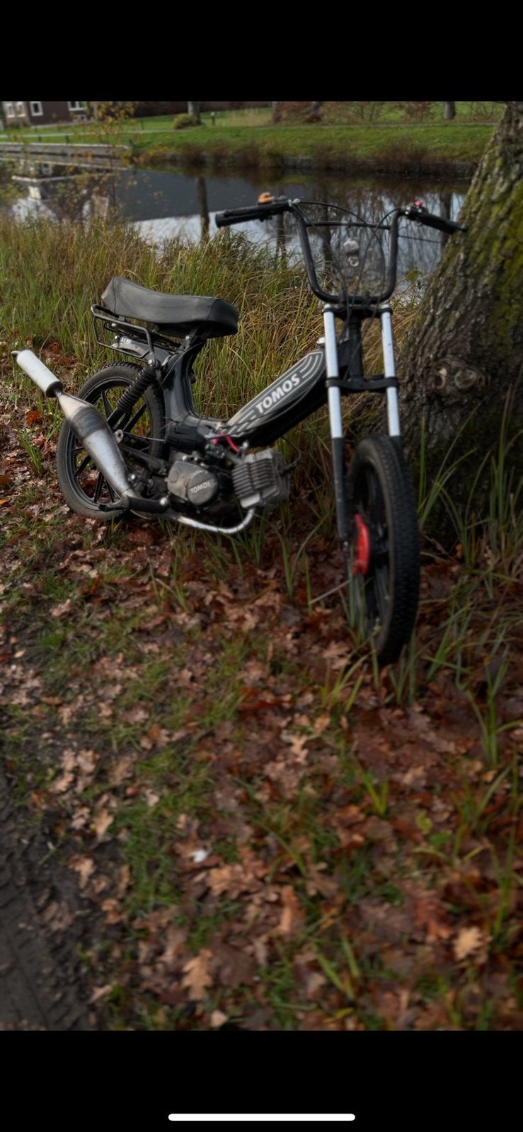 Tomos 65cc, Fietsen en Brommers, Ophalen of Verzenden, Zo goed als nieuw, Standard