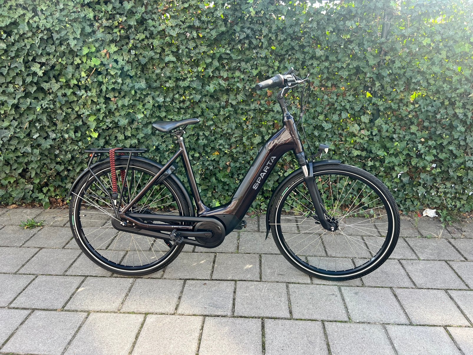Foto 3 van Elektrische Fiets Sparta C Grid