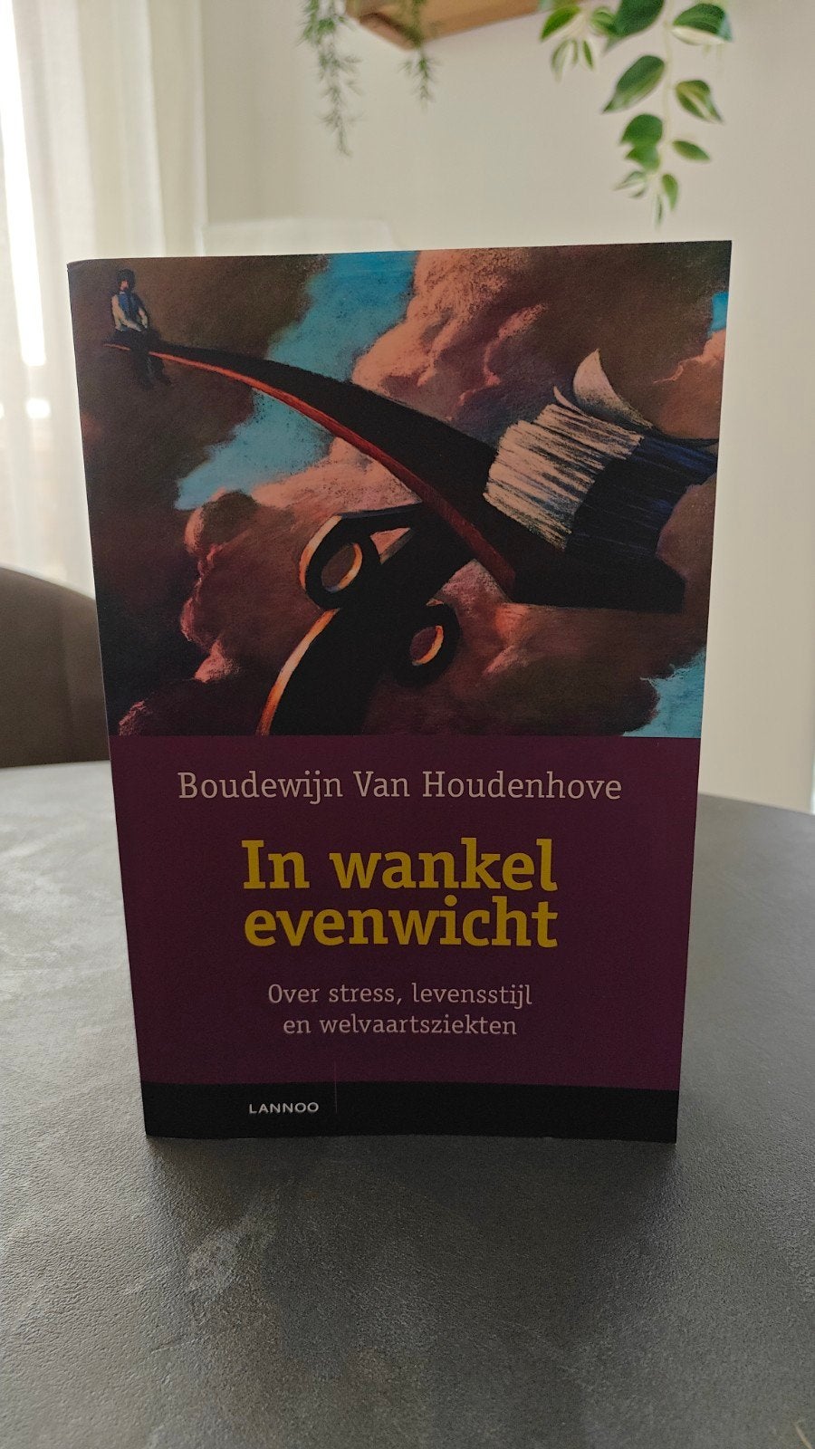 In wankel evenwicht, Ophalen of Verzenden, Zo goed als nieuw, Gezondheid en Conditie, Boudewijn Van Houdenhove