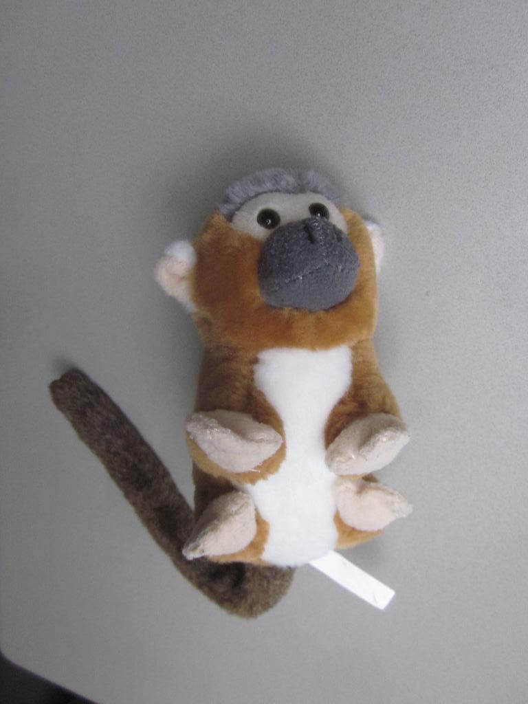 Geharo Drempt bruin wit grijs doodshoofdaapje bruine staart, Ophalen of Verzenden, Nieuw, Overige typen
