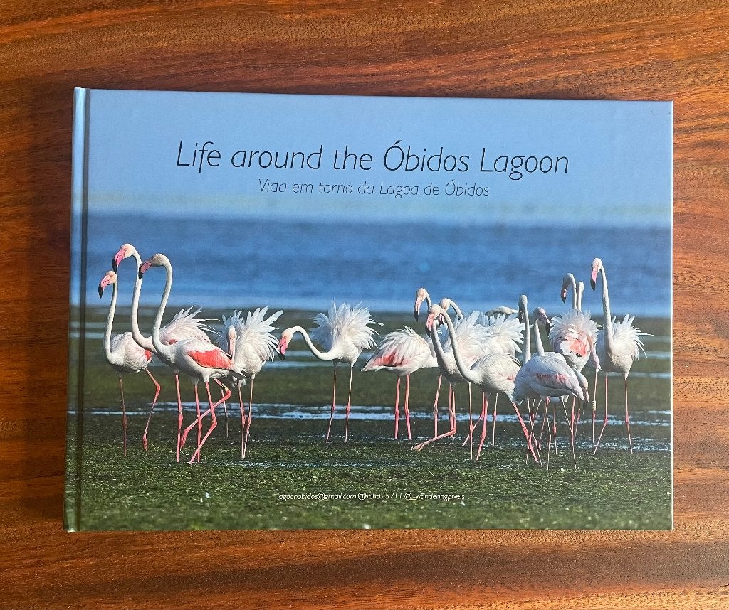 Fotoboek Obidos Lagoon, Ophalen of Verzenden, Nieuw
