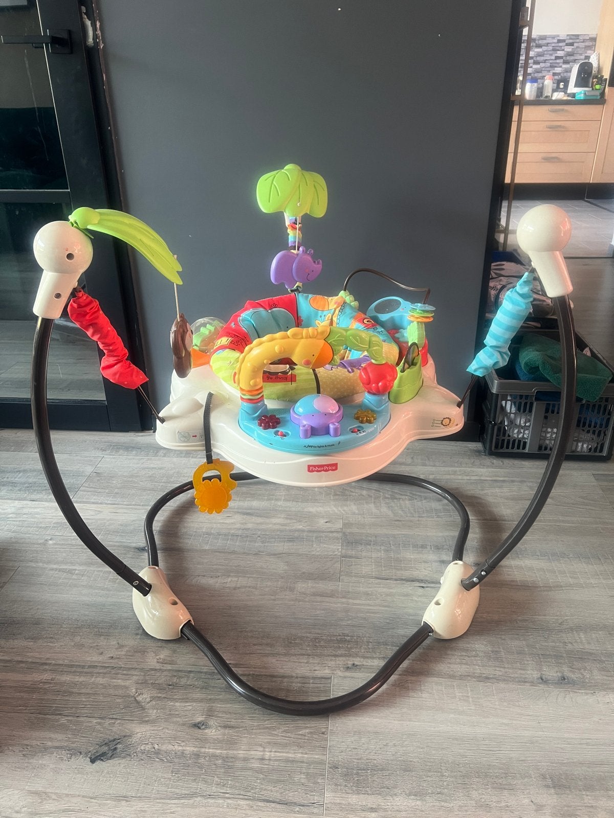 Fisher-Price Jumperoo Rainforest Baby Jumper, Ophalen of Verzenden, Gebruikt, Overige typen, Met licht