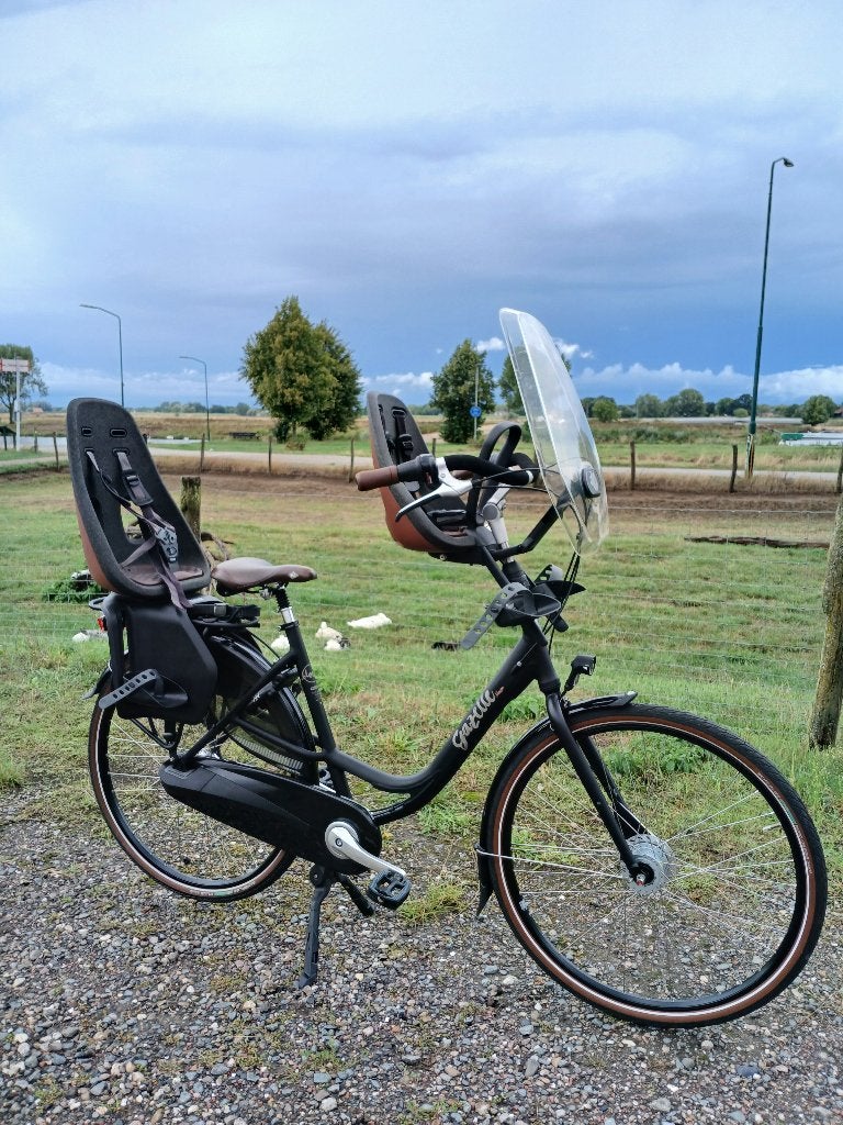 GAZELLE BLOOM C7 - ZGAN + GARANTIE - FRAME 53 CM / 7 N, Fietsen en Brommers, Fietsen | Dames | Moederfietsen, Ophalen, 2 zitjes