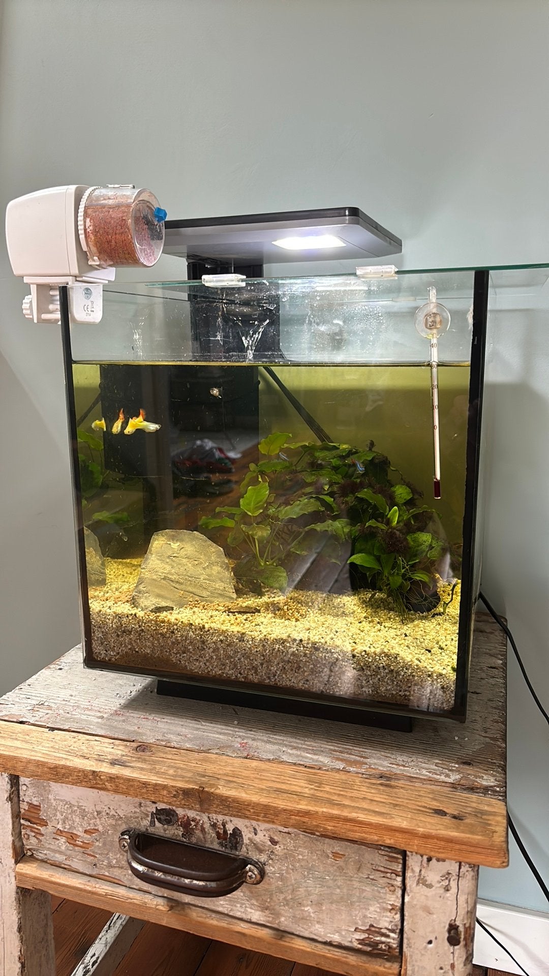Aquarium 30 liter complete set met vissen!, Ophalen, Zo goed als nieuw, Leeg aquarium