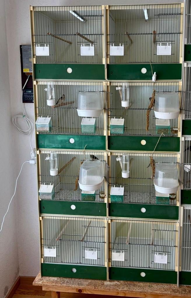 Heesakkers kooien., Dieren en Toebehoren, Vogels | Hokken en Kooien, Ophalen of Verzenden, Kunststof, Broedkooi of Kweekkooi