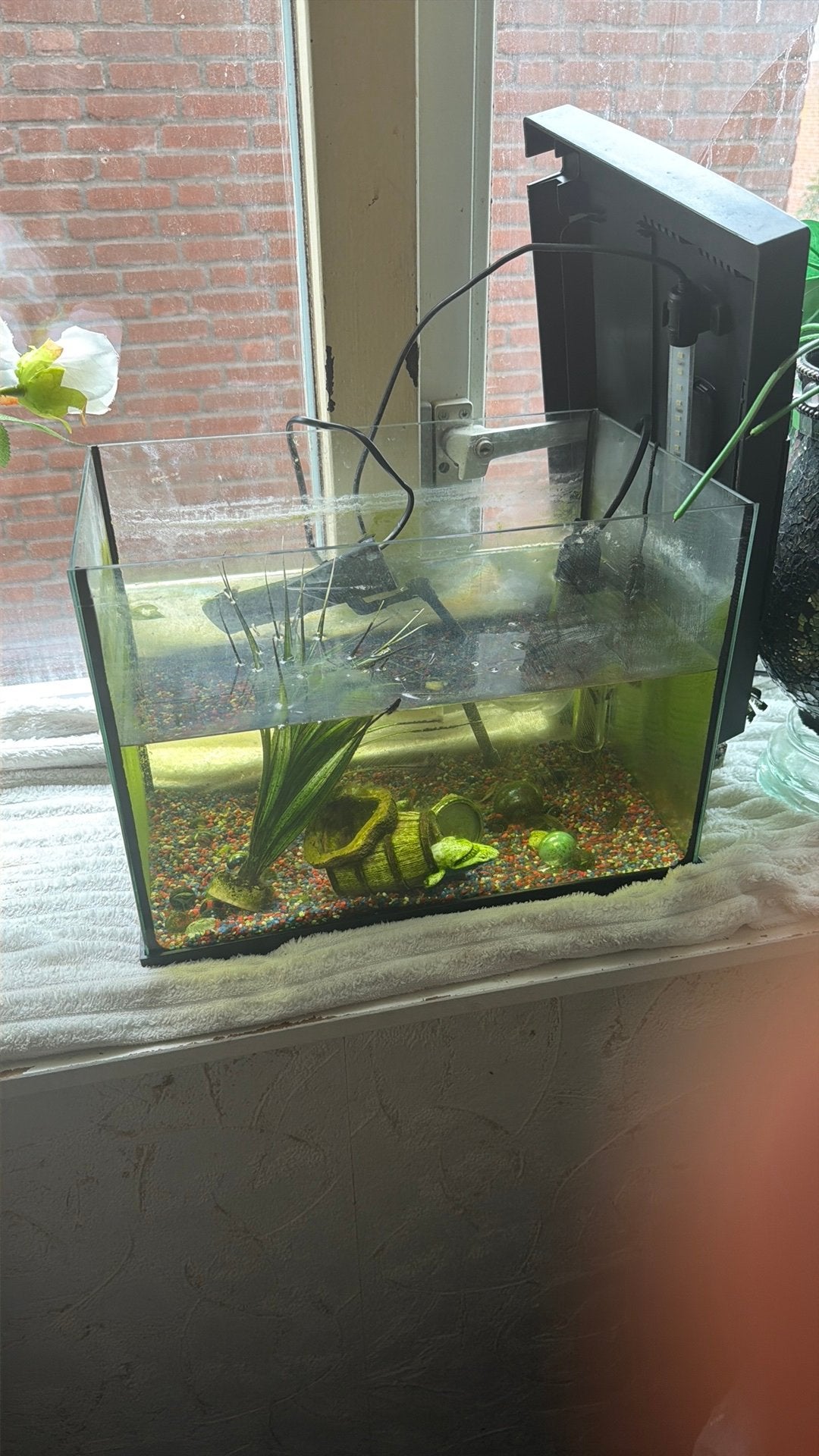Superfish aquarium, Dieren en Toebehoren, Vissen | Aquaria en Toebehoren, Ophalen, Zo goed als nieuw, Leeg aquarium