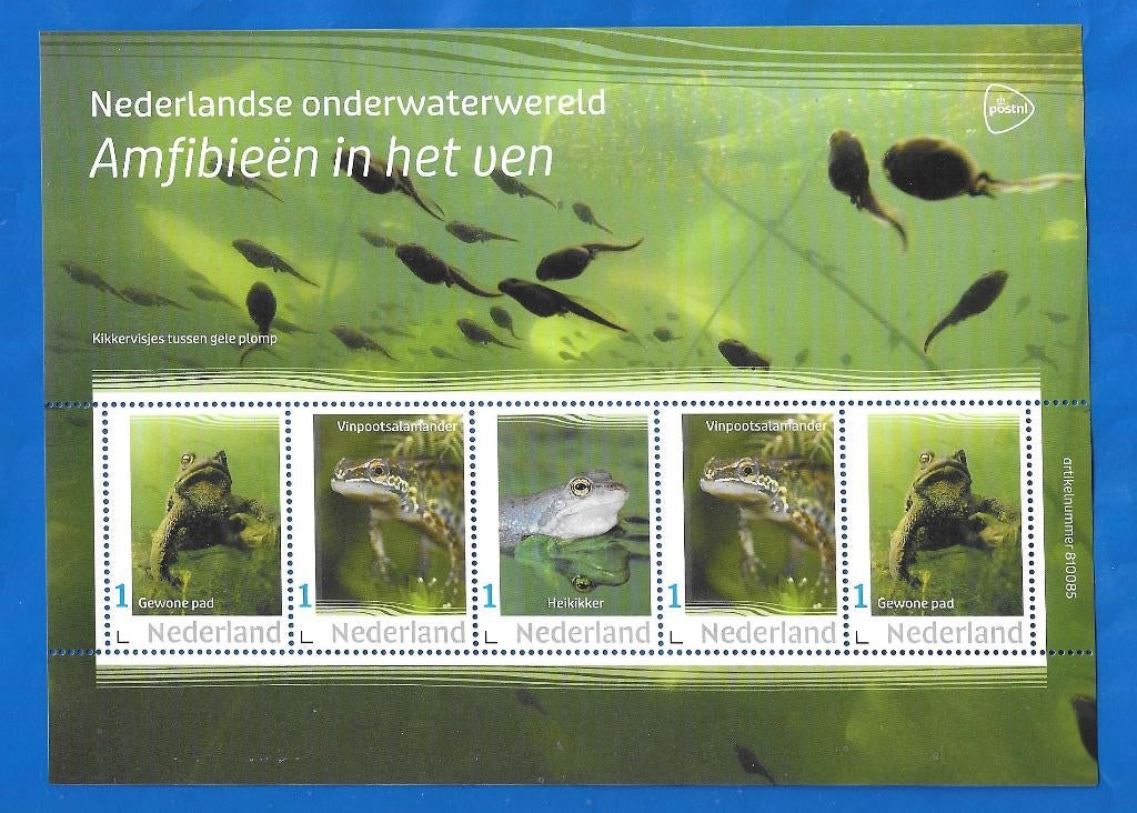 NVPH: V3642P: 23 "Nederlandse onderwaterwereld 2024", Postzegels en Munten, Postzegels | Nederland, Verzenden, Na 1940, Postfris