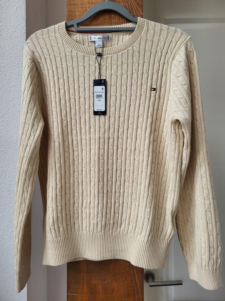 Tommy Hilfiger trui maat m spiksplinternieuw met kaartje!, Kleding | Dames, Truien en Vesten, Ophalen of Verzenden, Nieuw, Blauw