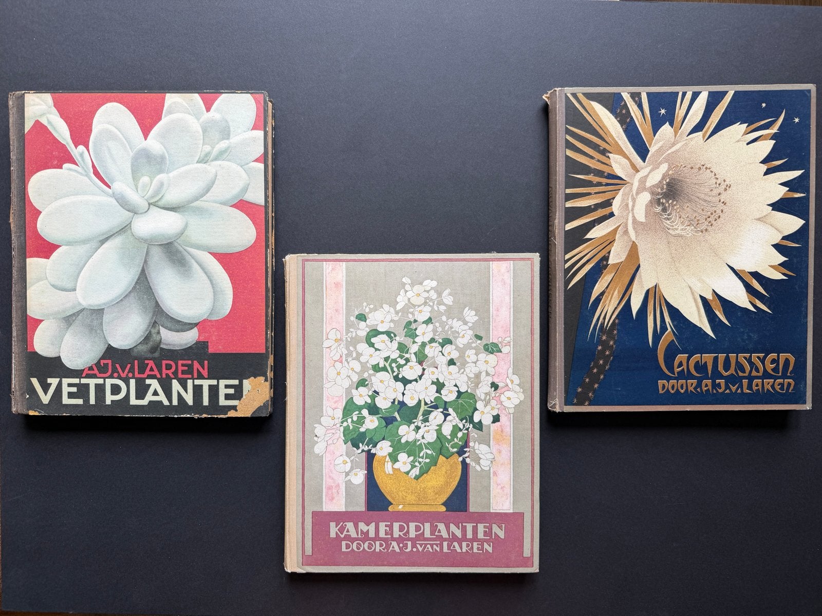 Verkade Albums: Kamerplanten, Cactussen, Vetplanten (3 stuks, Boeken, Prentenboeken en Plaatjesalbums, Ophalen of Verzenden, Gelezen