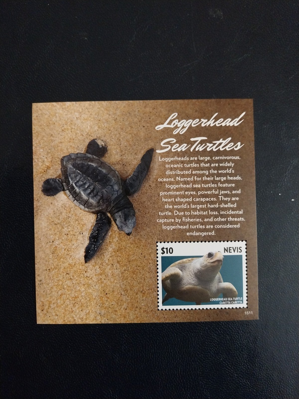 Navis blok 371 schildpad 2015 postfris mi 9 euro, Ophalen of Verzenden, Dier of Natuur