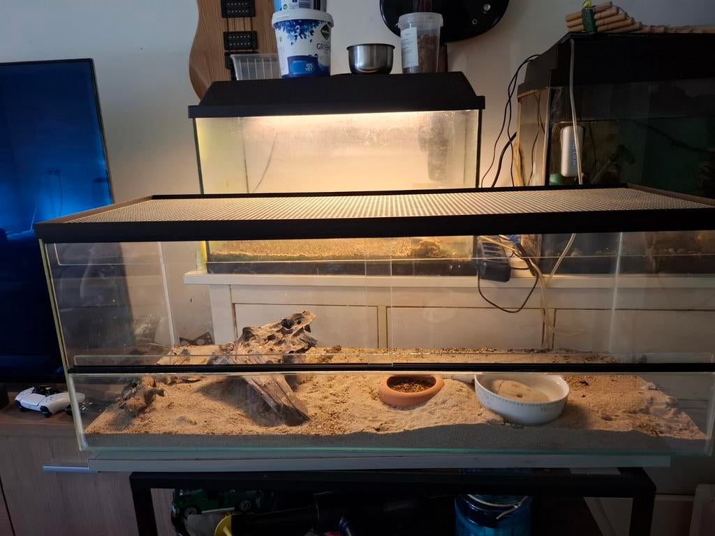Terrarium 87.5 breed hoogte en diepte 33.5, Dieren en Toebehoren