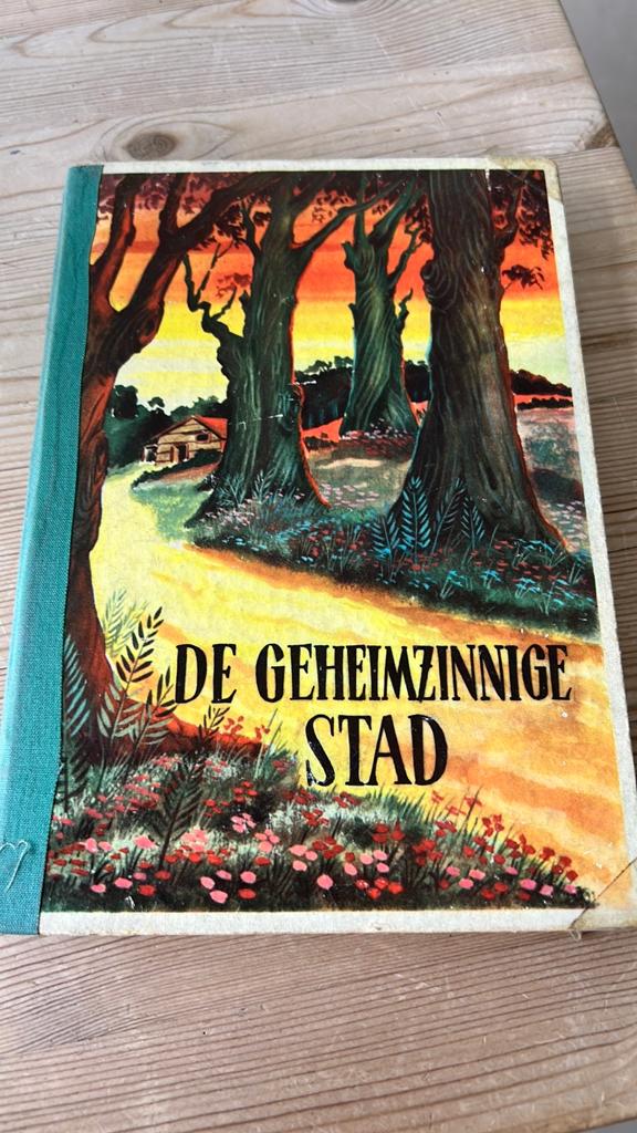 De geheimzinnige Stad - Rob Rijken, Antiek en Kunst, Antiek | Boeken en Bijbels, Ophalen of Verzenden