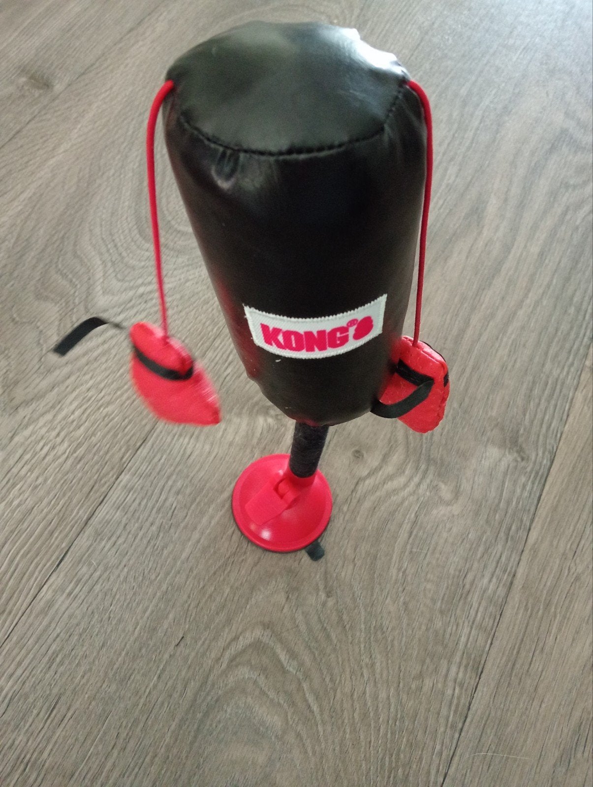 KONG's Mini Boksbal met Zuignap katten, Ophalen of Verzenden, Overig speelgoed