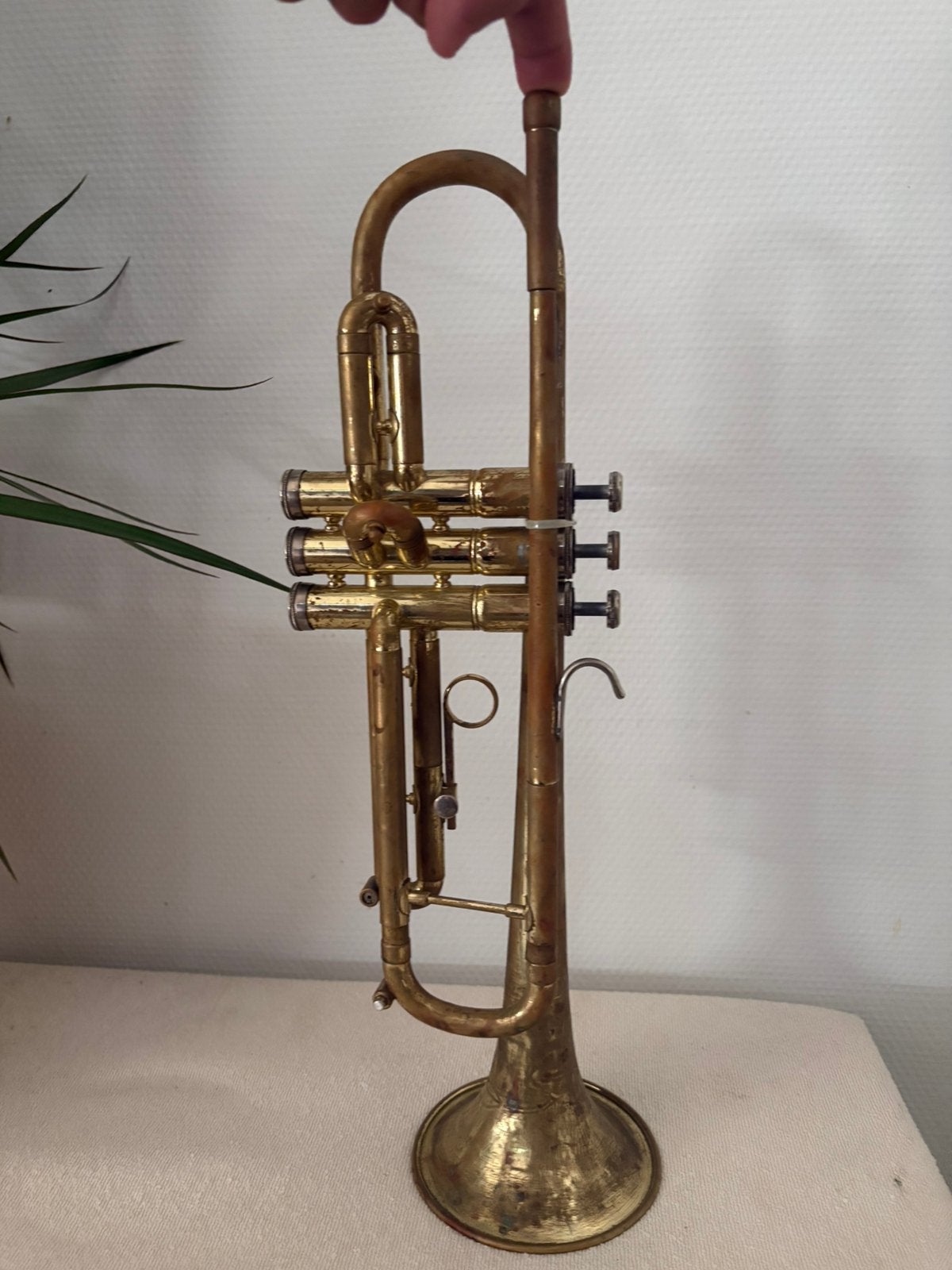 Conn 18b director trompet, Muziek en Instrumenten, Blaasinstrumenten | Trompetten, Ophalen, Gebruikt, Bes-trompet, Met koffer